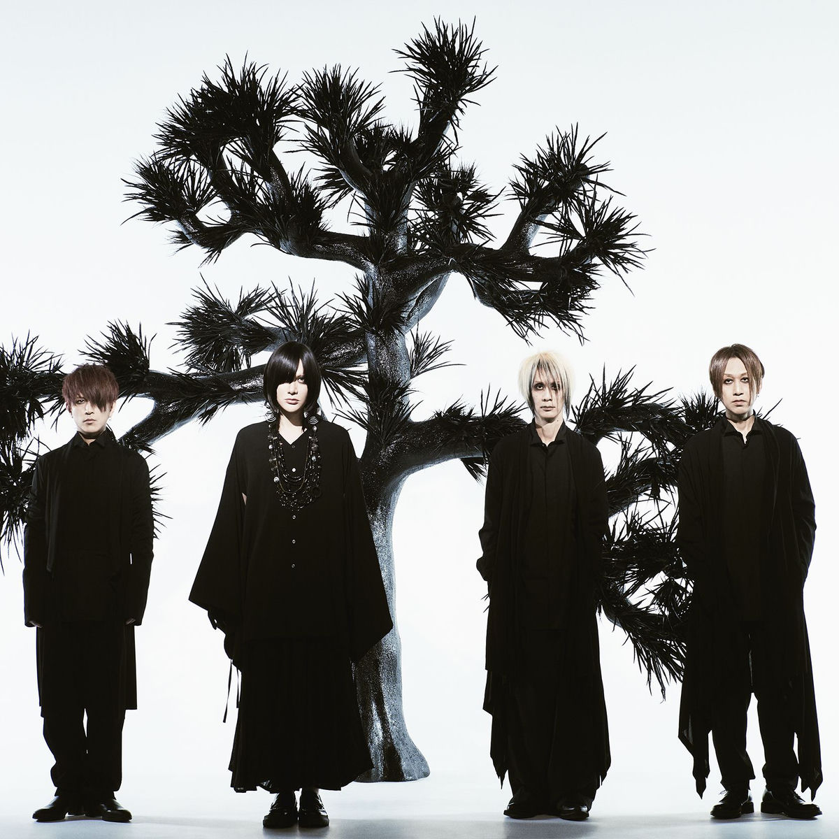 Plastic Tree México 2027